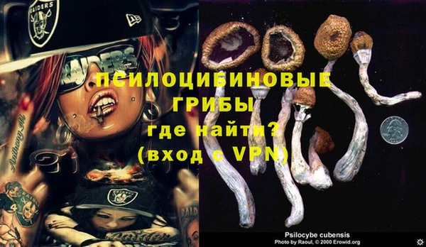 альфа пвп Верхний Тагил